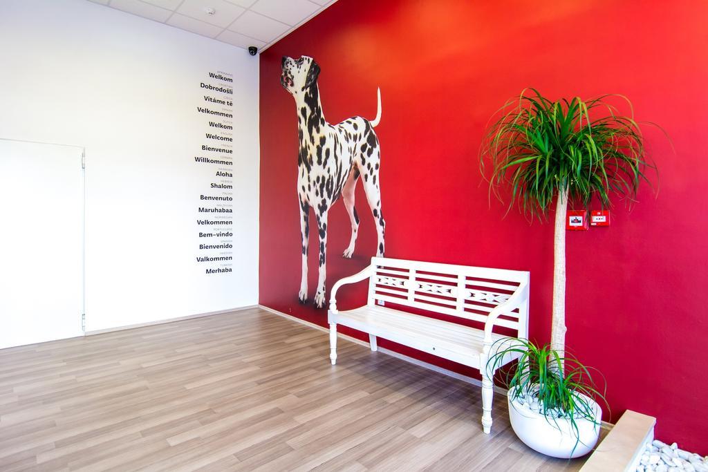 Design Hostel 101 Dalmatinac سبليت المظهر الخارجي الصورة